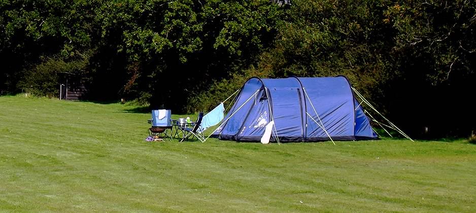 Tent at the edge of the field