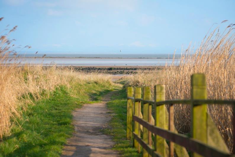 Path to the shore