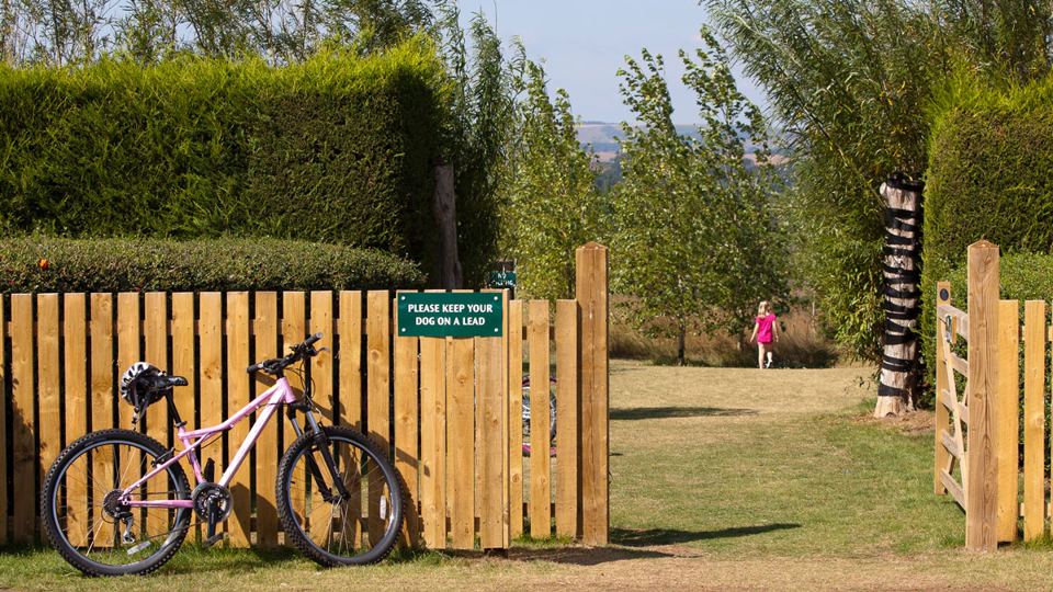 Gated grass area with bike