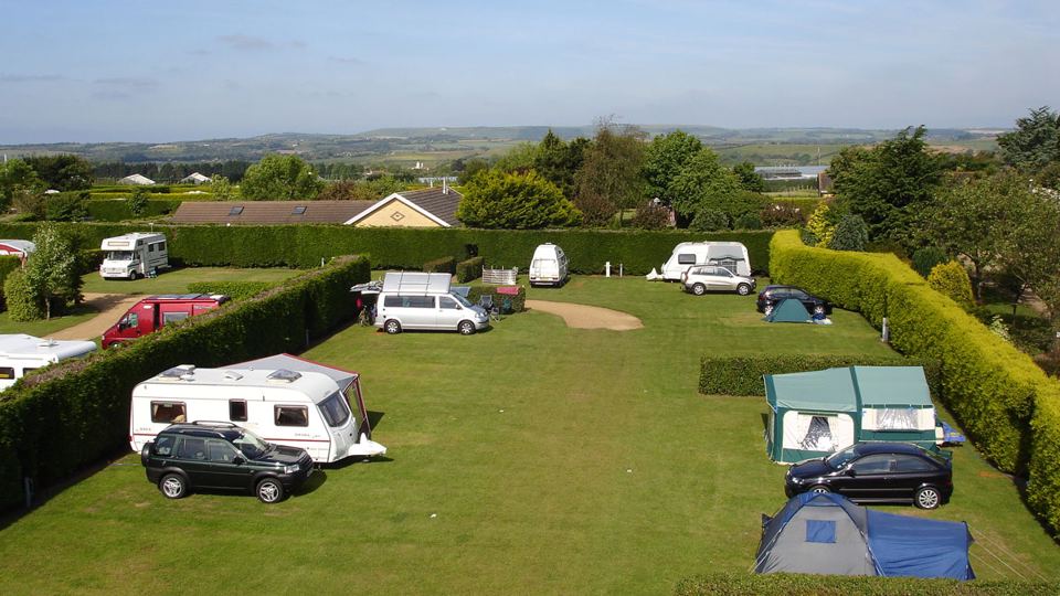 Hedged pitches across the site