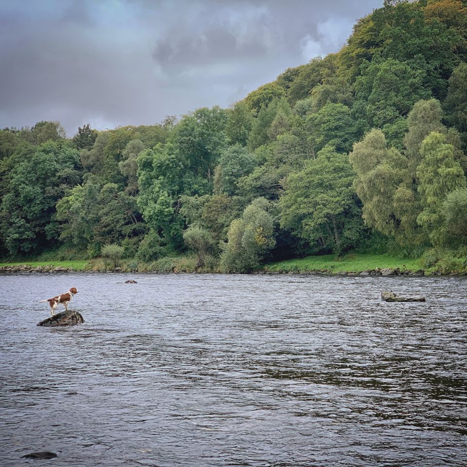 River Spey