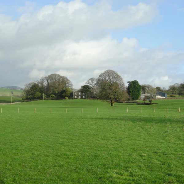 Field and trees beside the farmhouse