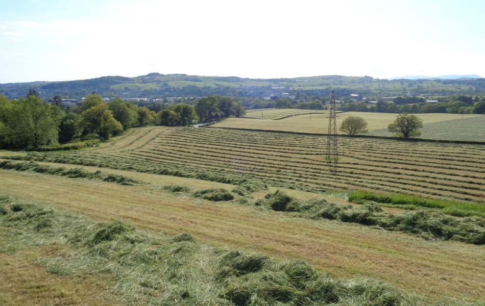 Fields and hills beyond