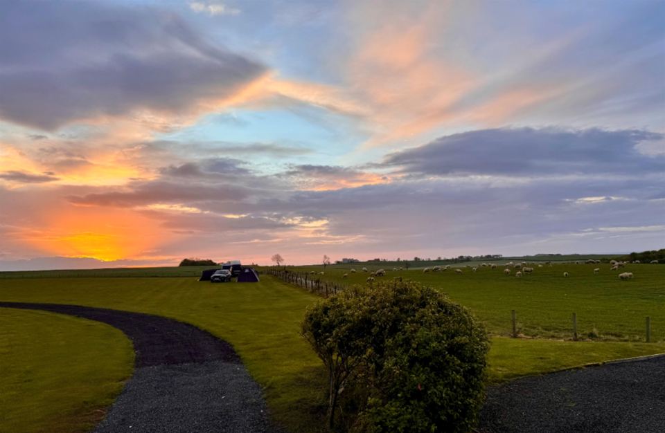 Sunset over the field