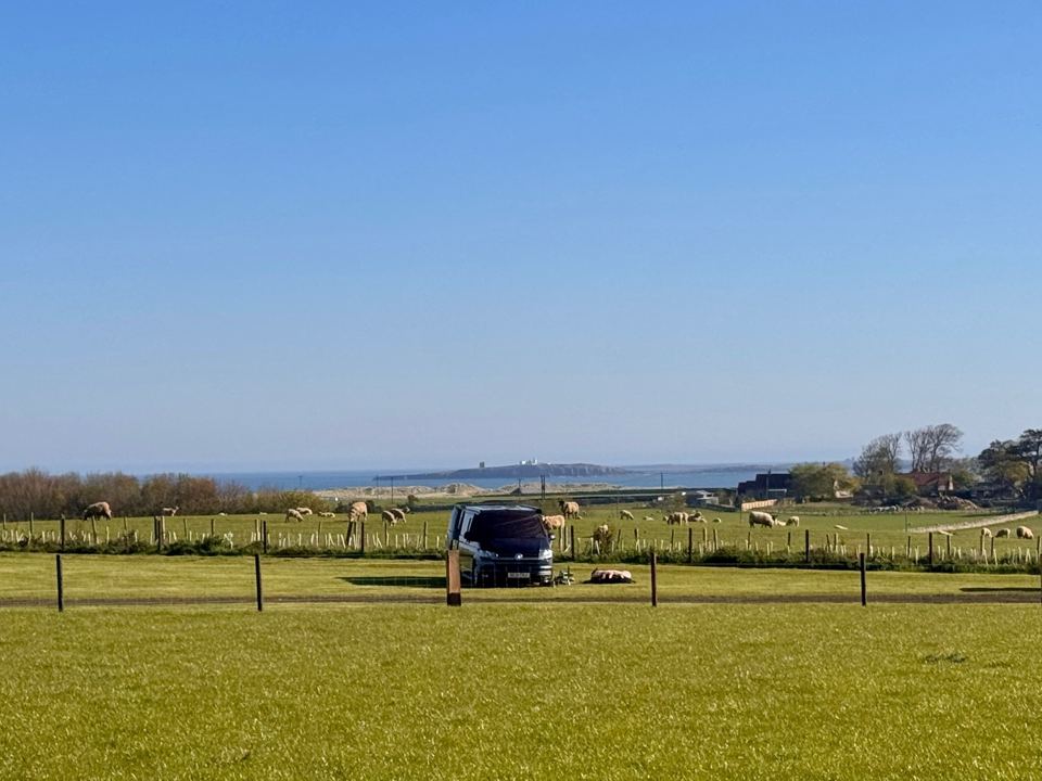 Grass pitch with sea view