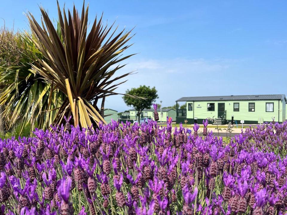 Static caravans among flowers