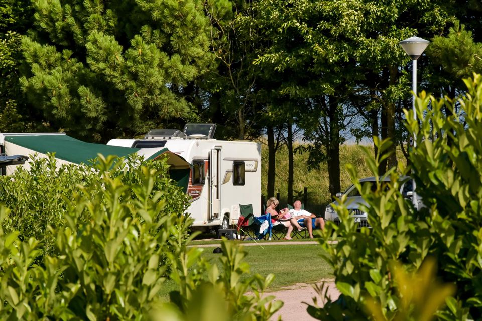 Touring pitch among trees