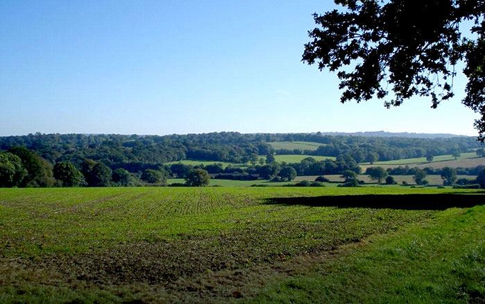 View across the Weald