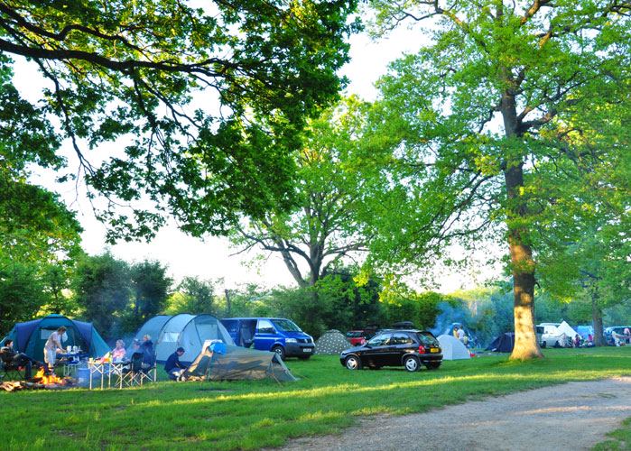Tents under oak trees