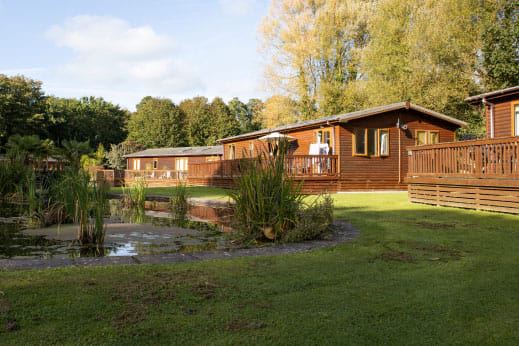 Lodges by the pond in the trees