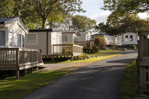 Caravans along the tree-lined road