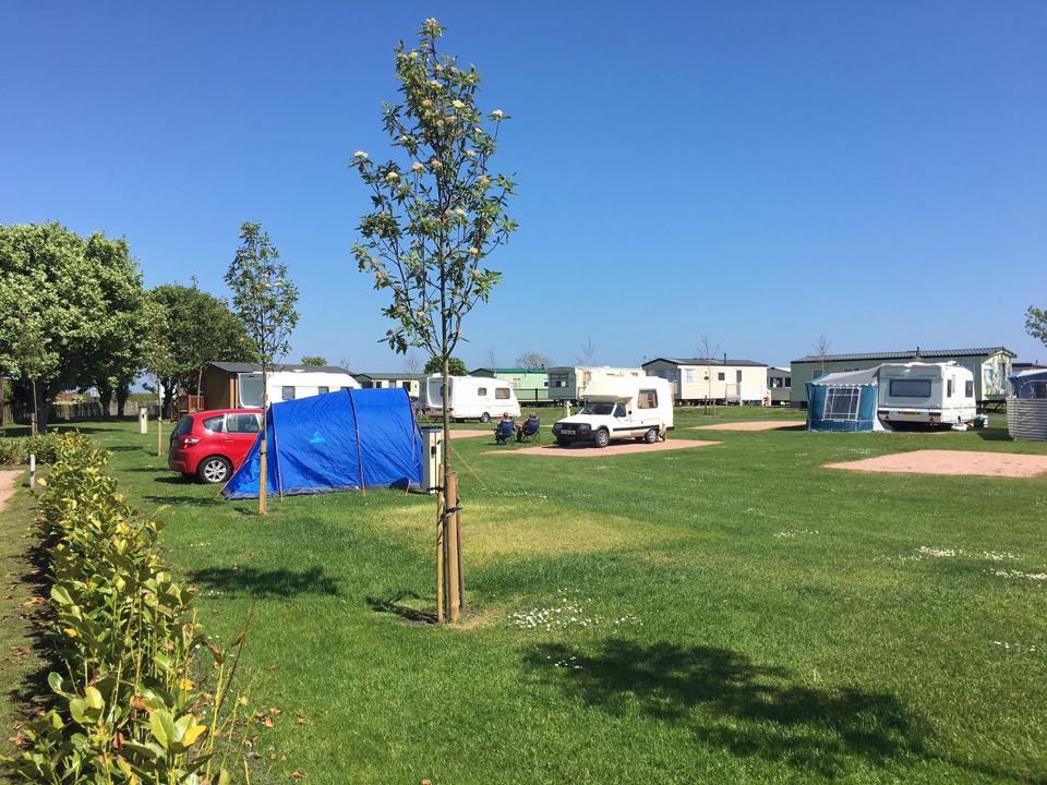 Tent field