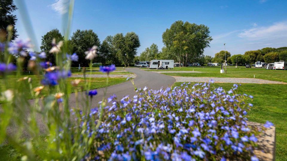 Grass pitches beside the road