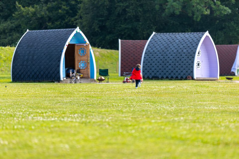 Pods on the grass