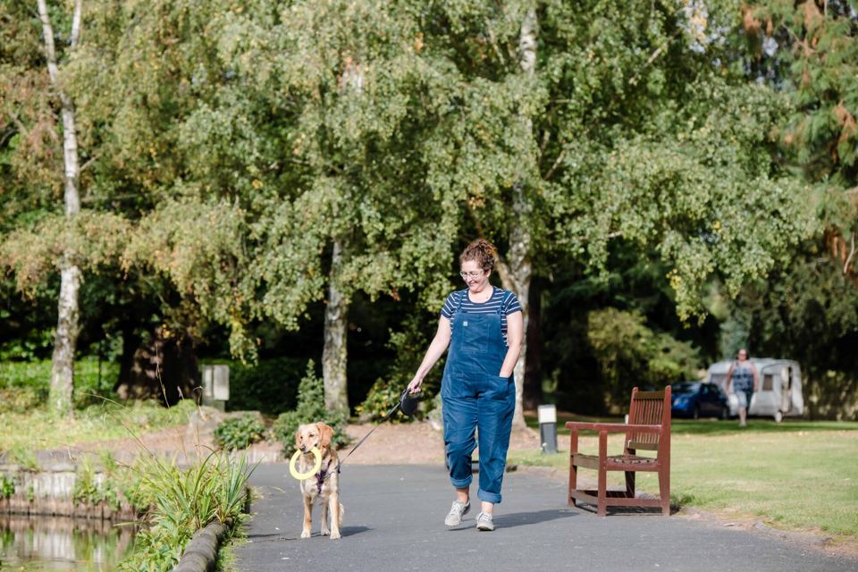 Dog walk by the lake