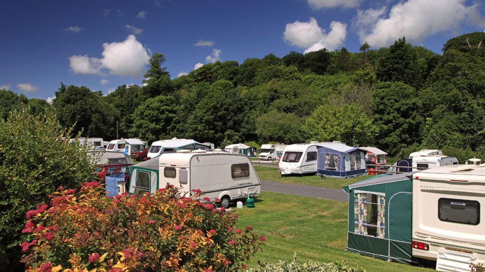 Caravans on pitches among trees