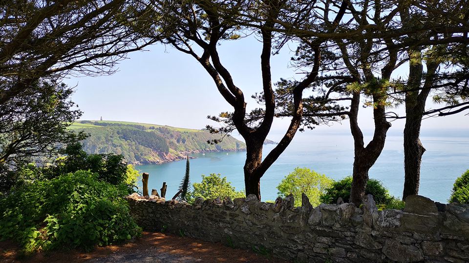 Coast framed by pine trees