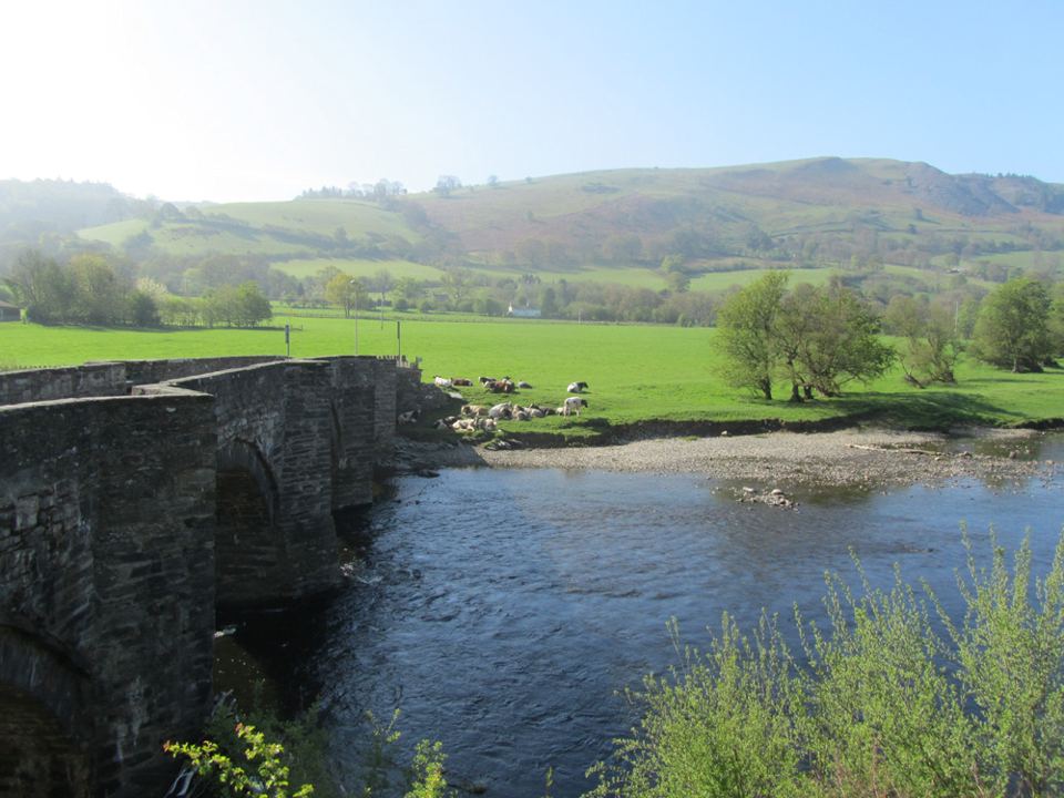 River Dee by Carrog bridge