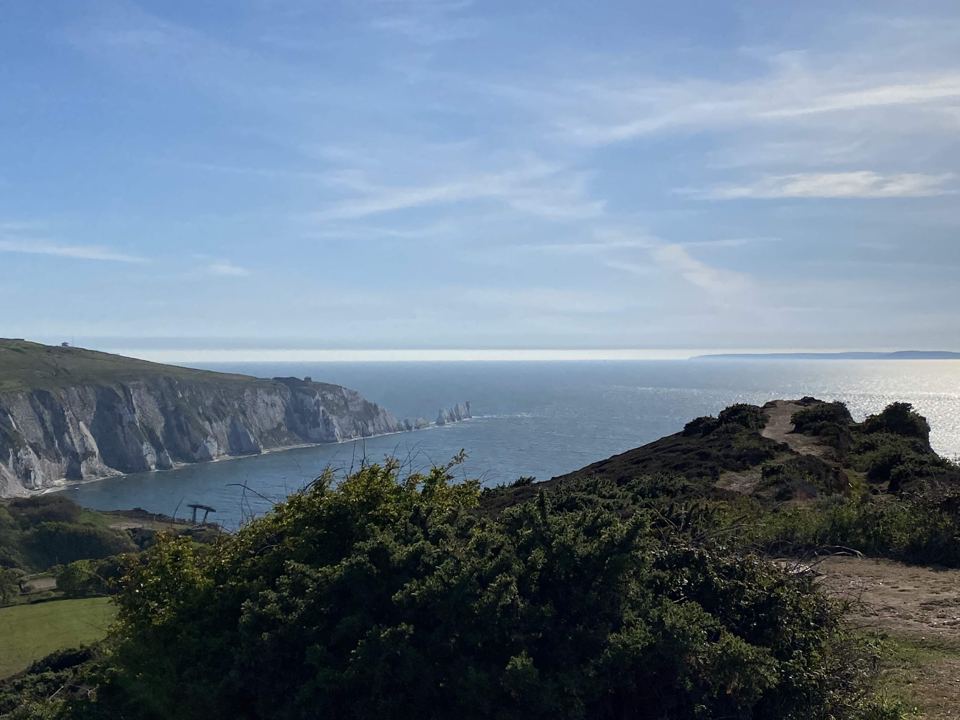 The Needles from Headon Warren