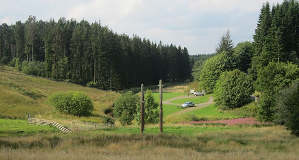 Forest and burn from the village