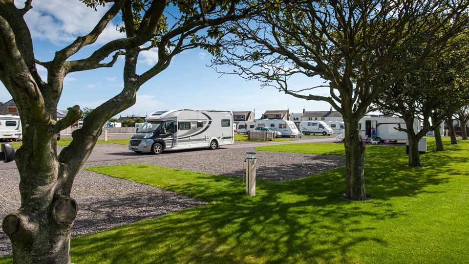 Motorhomes among the trees