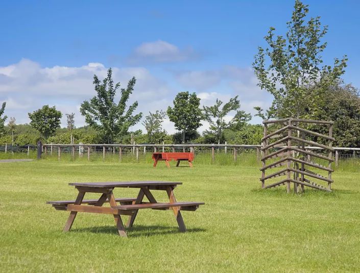 Grass field with picnic bench