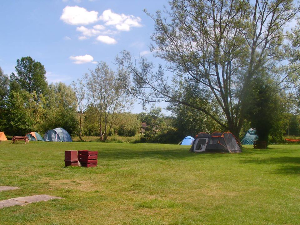 Tent pitches across the field