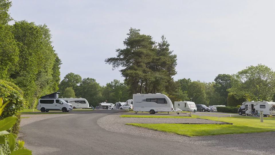 Touring pitches under the pines