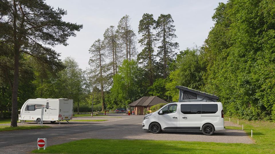 Caravans and campervan among the trees