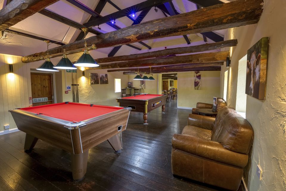 Games room with pool table