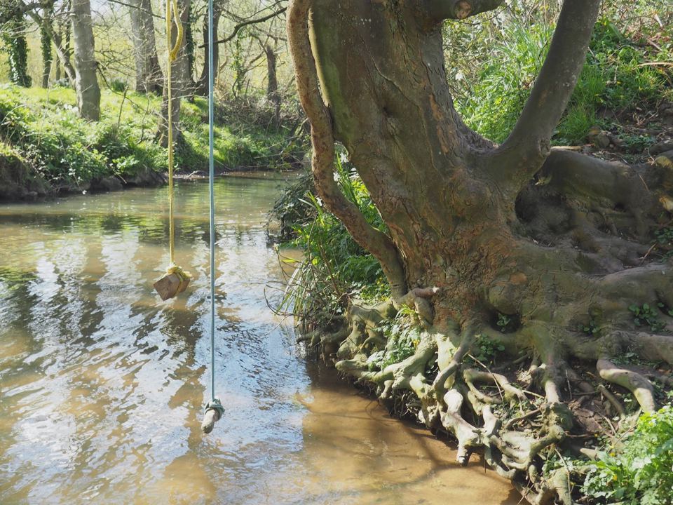 River Frome with a rope swing