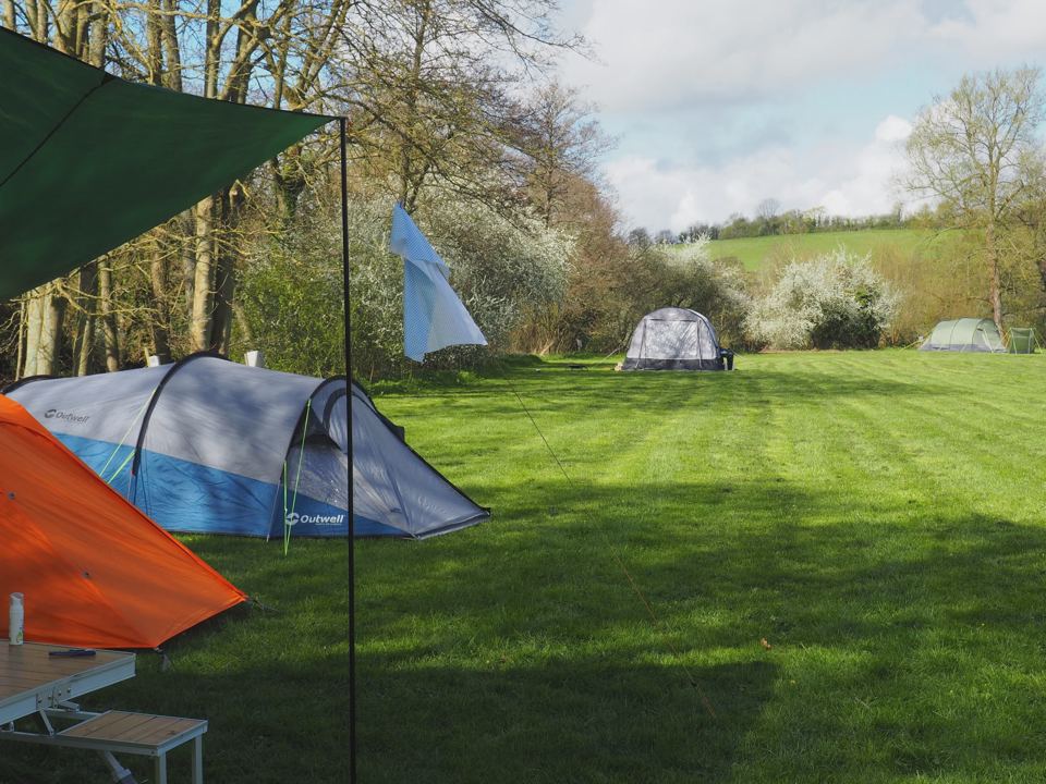 Tents on the mown field