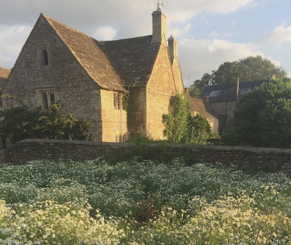 Manor house across the meadow flowers