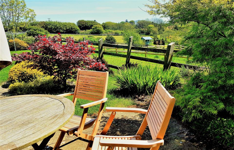 Garden chairs by the shrubs