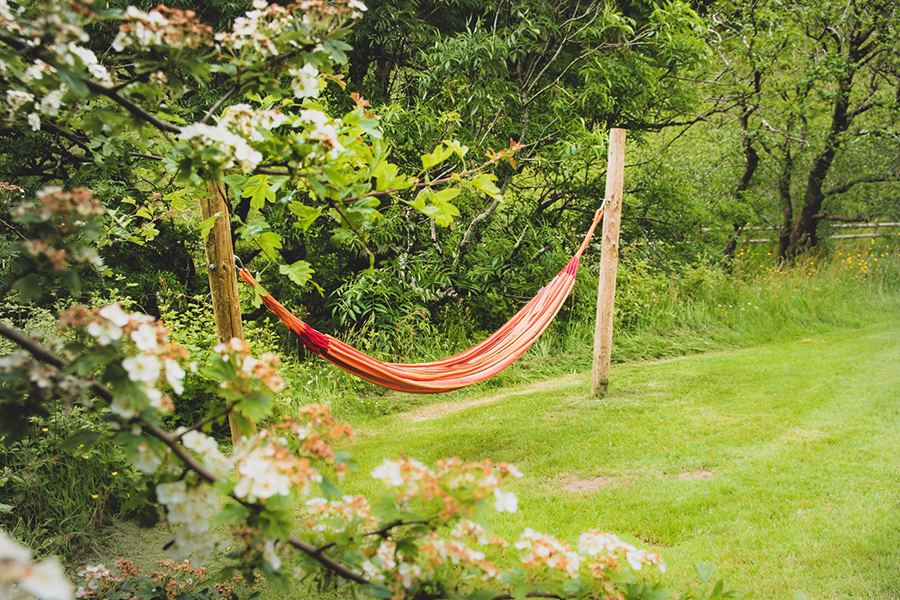Hammock in the orchard