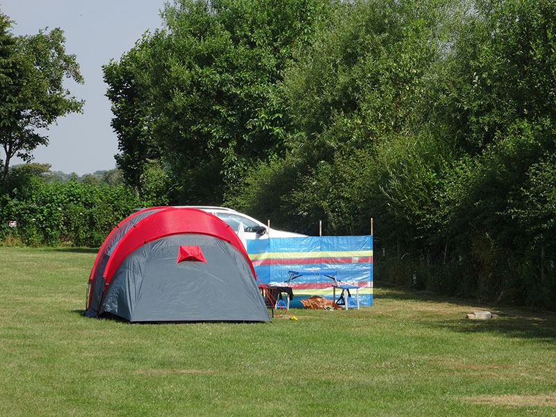 Tent on a grass pitch