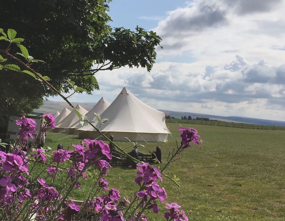 Bell tents across the field