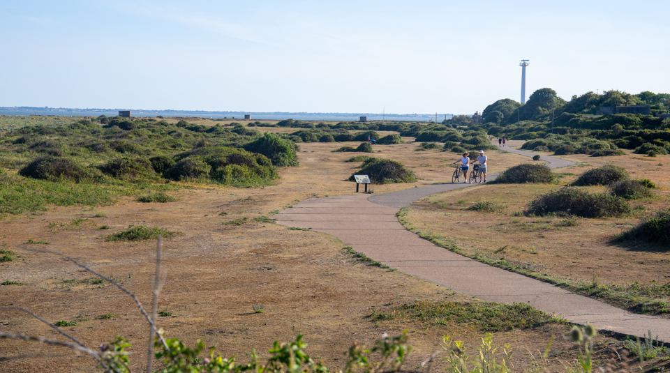 Coastal path through the dunes