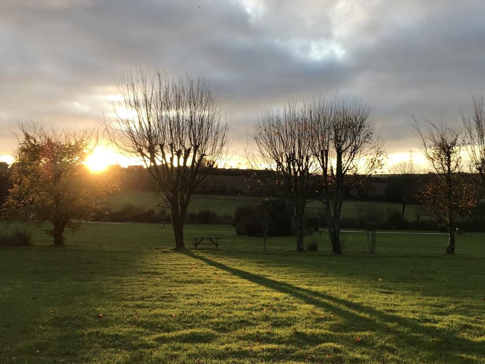 Evening light across the park