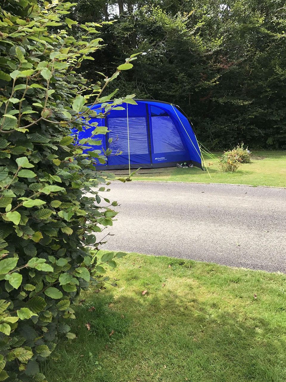 Tent pitch under the hedge
