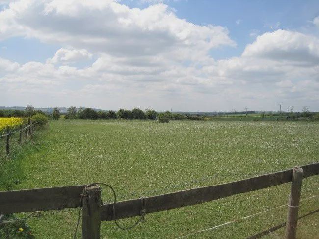 Open grass field