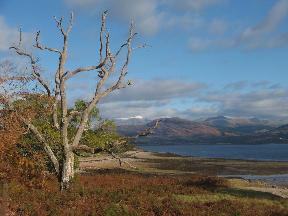 Shore of Loch Sunart