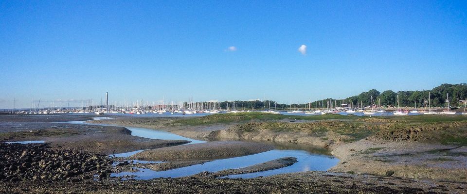 Estuary shore near the park