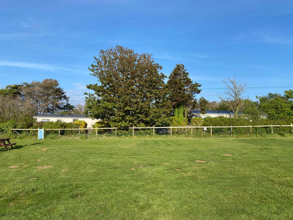 Grassy field with trees