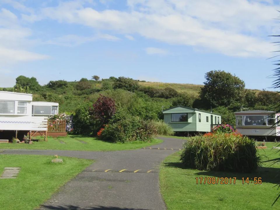 Holiday homes among shrubs