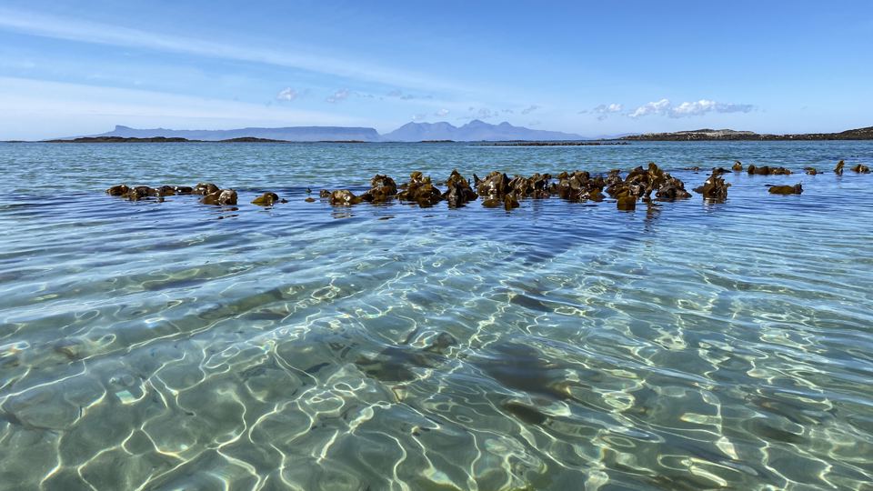 Clear shallow water nearby