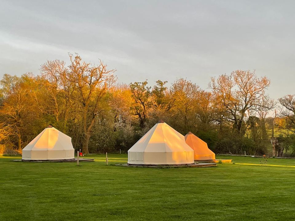 Bell tents in evening light