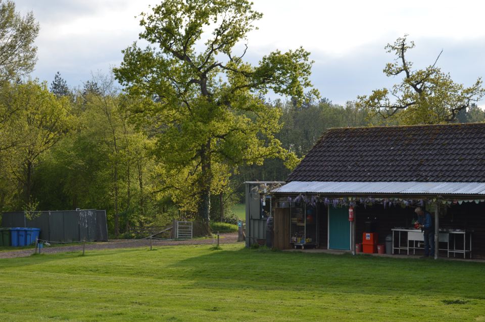 Camp shop and main field