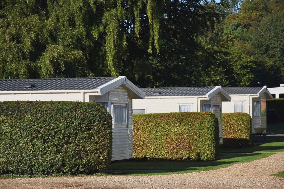 Holiday caravans behind hedges