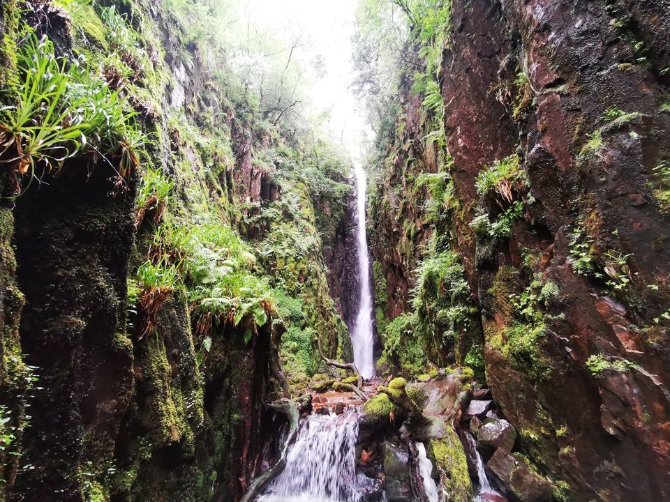 Waterfall in the rocky gorge